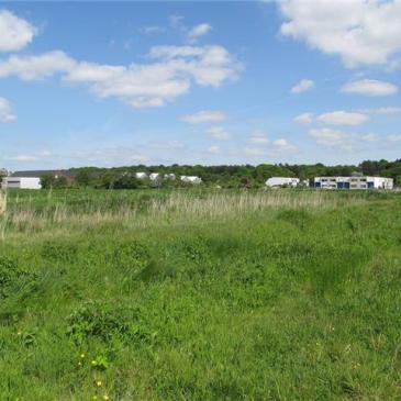 Archieffoto: Marieke van der Leij