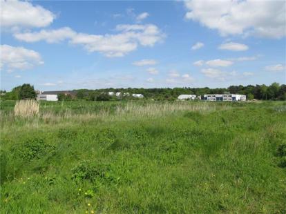 Archieffoto: Marieke van der Leij