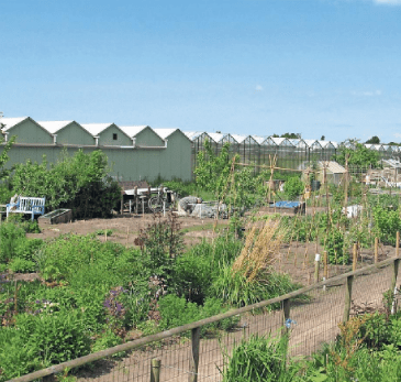 Gedeelte Manpadslaangebied (volkstuinen)